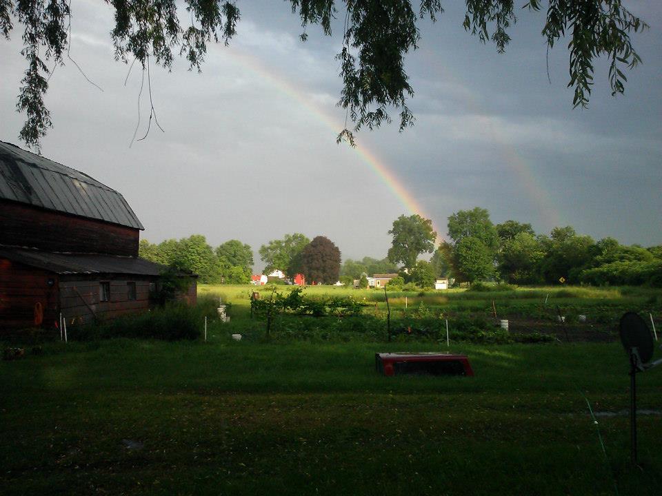 Little Farm in the Valley