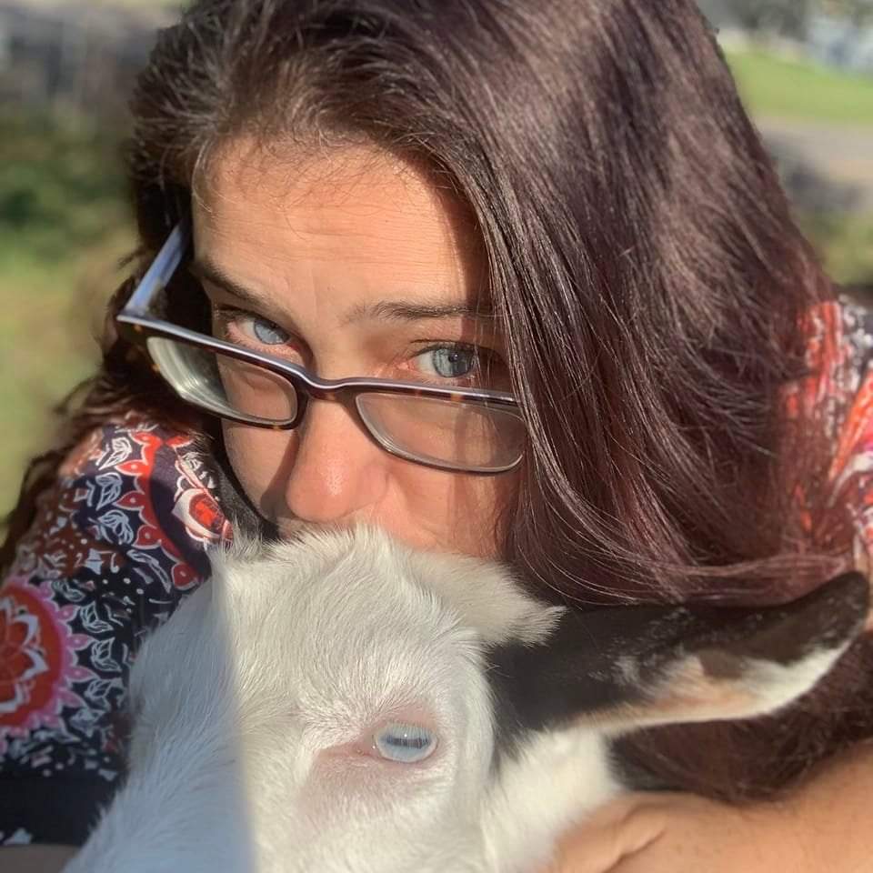 Little Homestead On The Hill