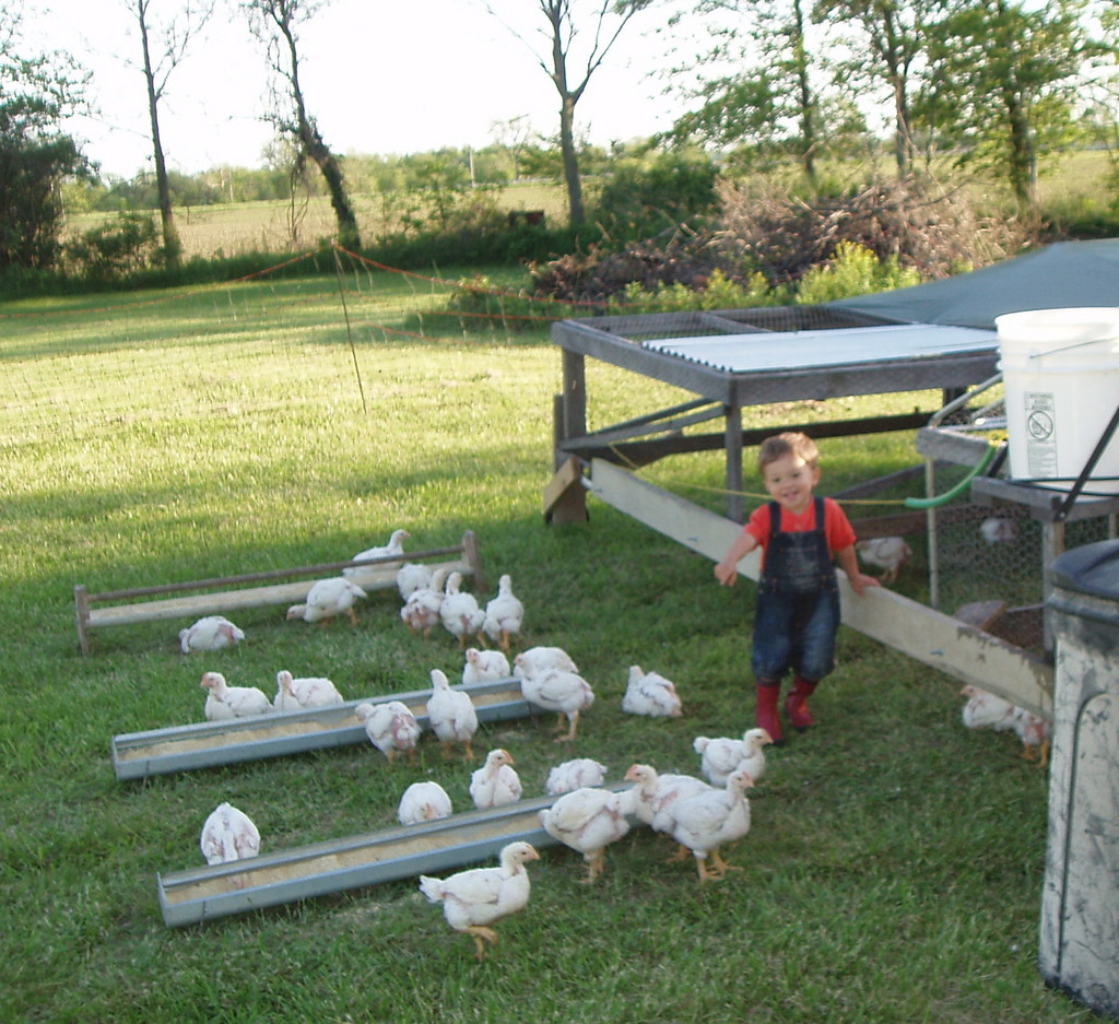 LittleFoot Family Farms