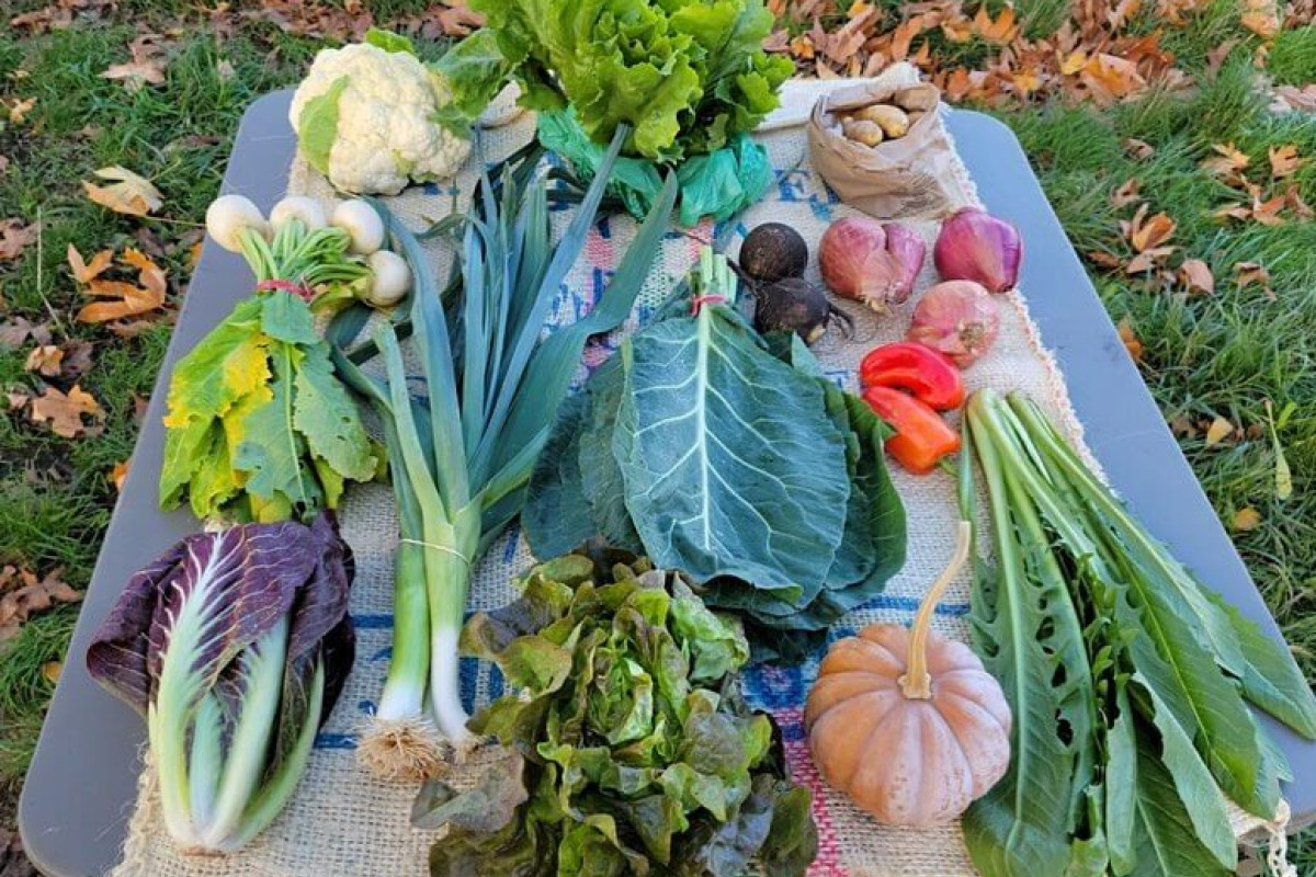 Lone Elder Farm Produce Stand