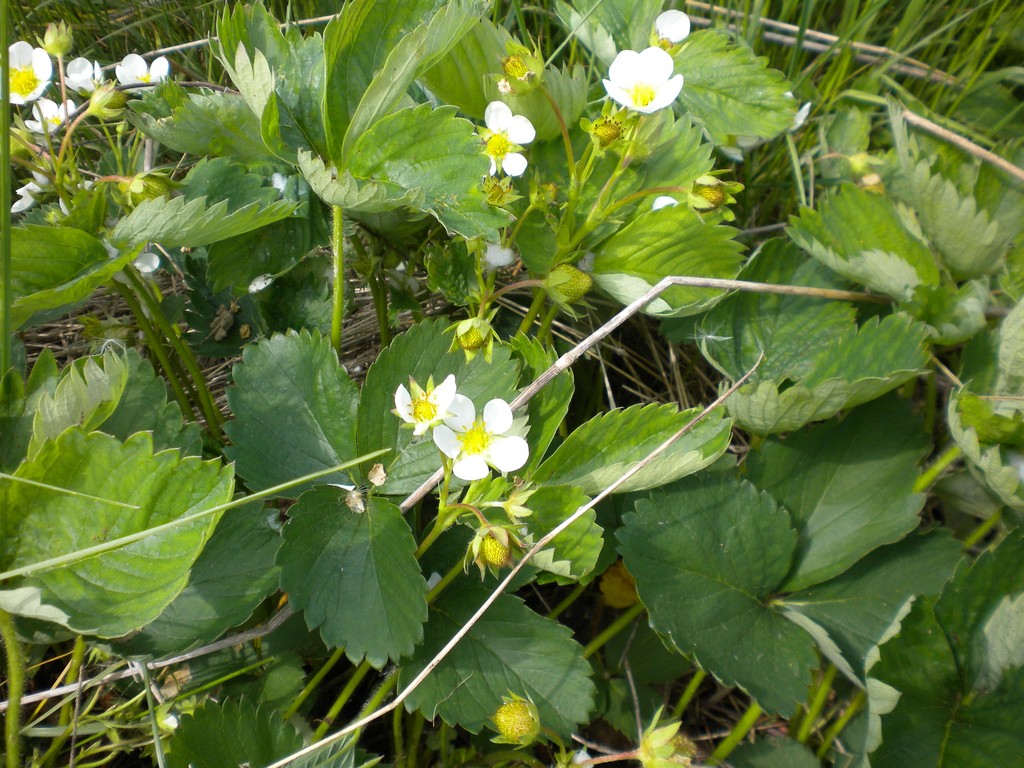 Long Hill Orchard & Farm