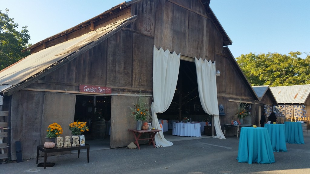 Lorina's Edible Garden