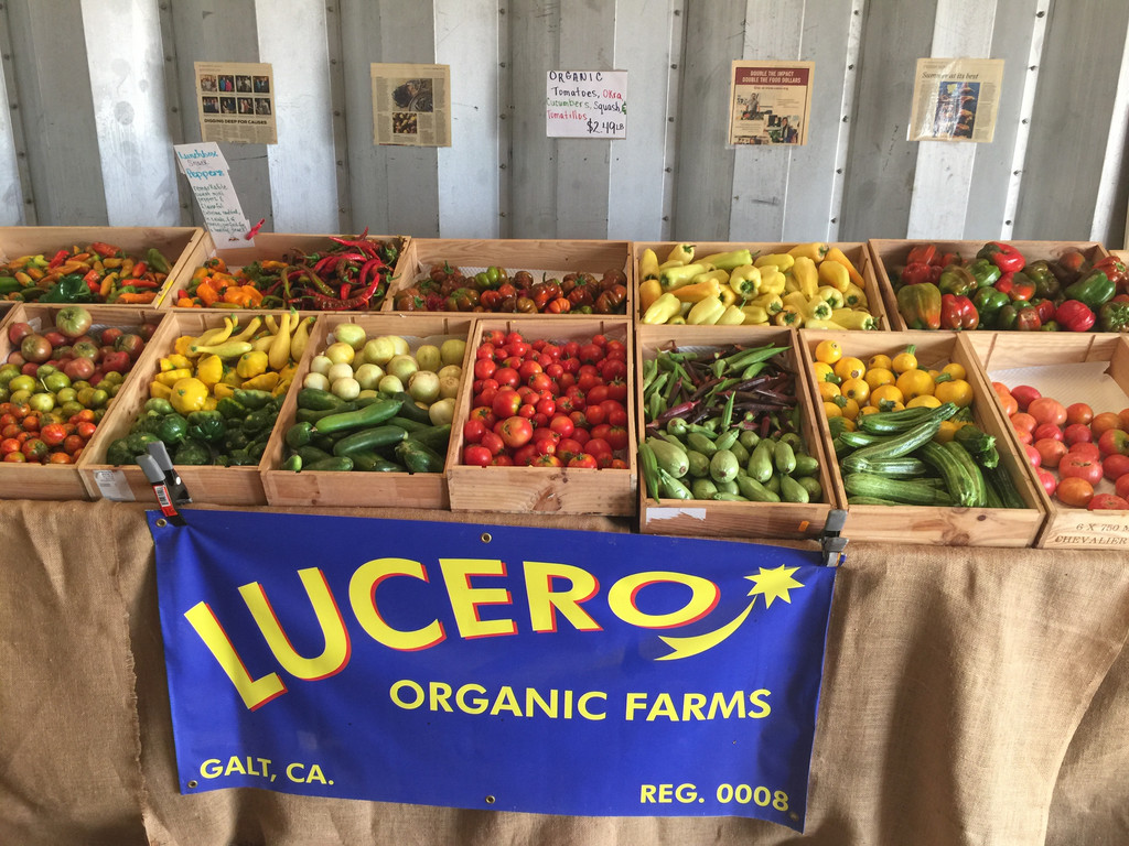 Lucero Organic Farms
