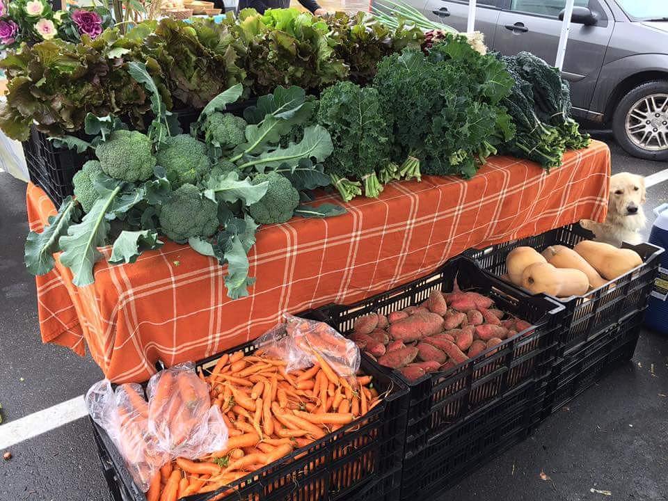 Mad Radish CSA