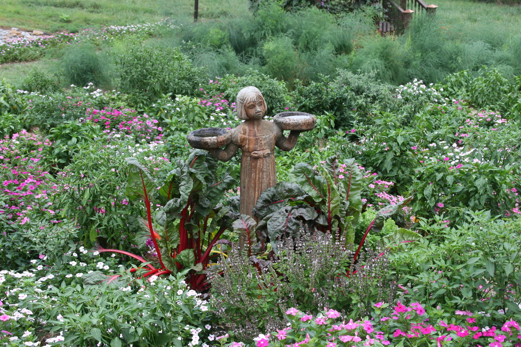 Maggie Valley Berry Patch and Gardens