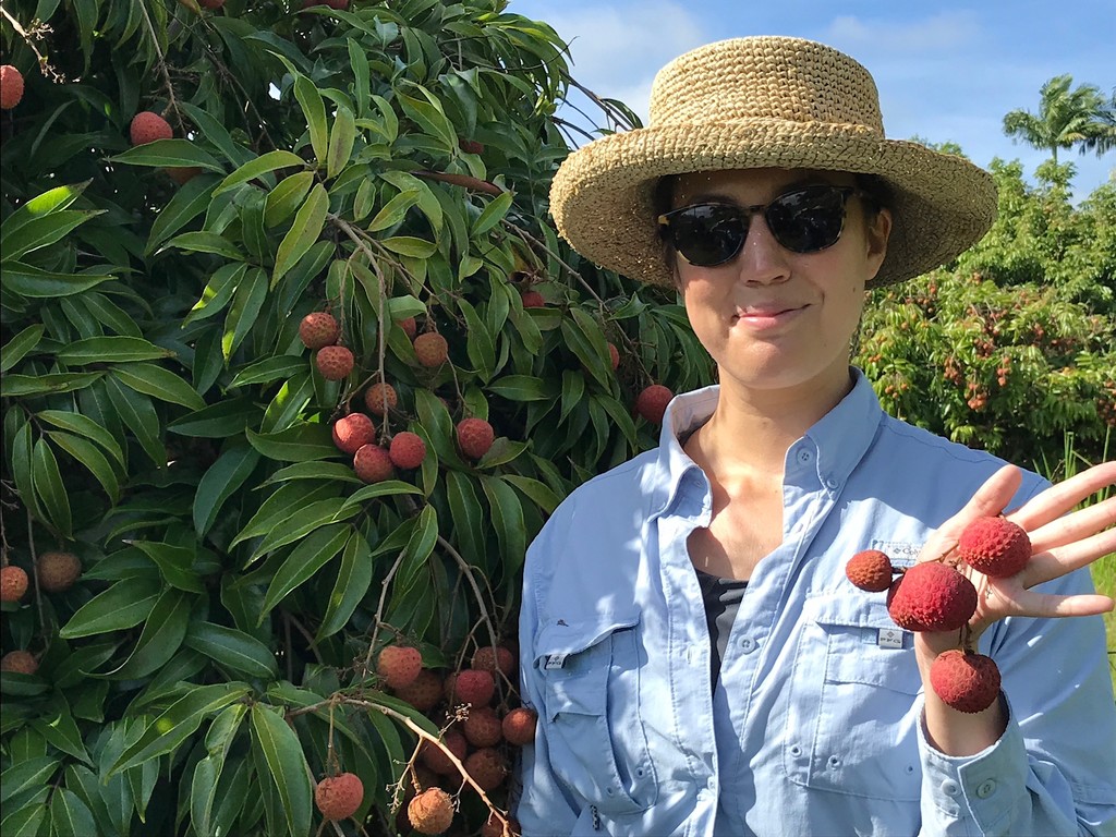 Mauna Kai Orchards