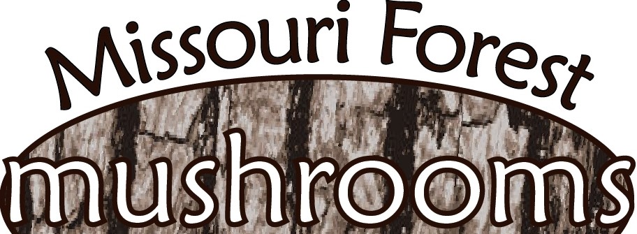 Missouri Forest Mushrooms