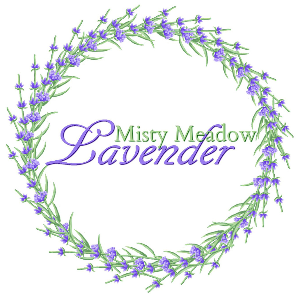 Misty Meadow Lavender
