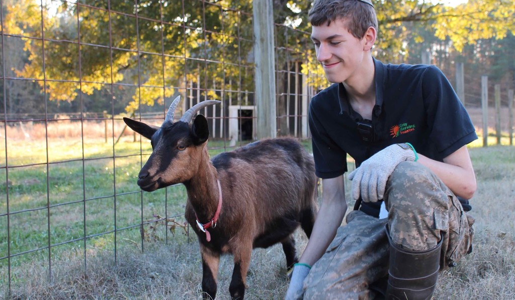 Misty Morning Sunrise Farm