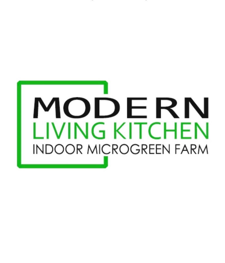 Modern Living Kitchen