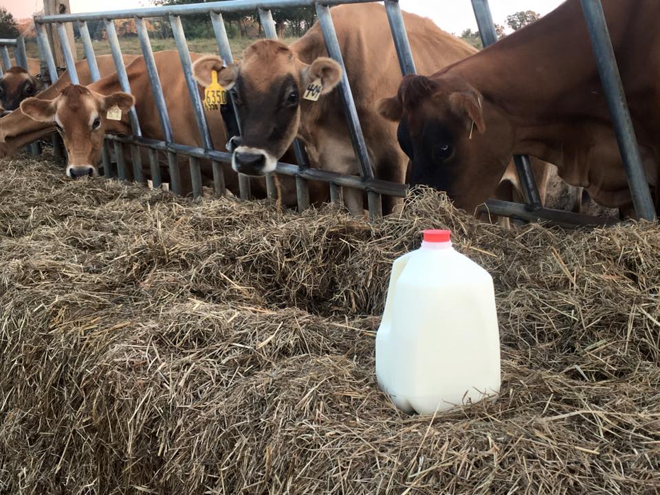 Moo 2 U Dairy