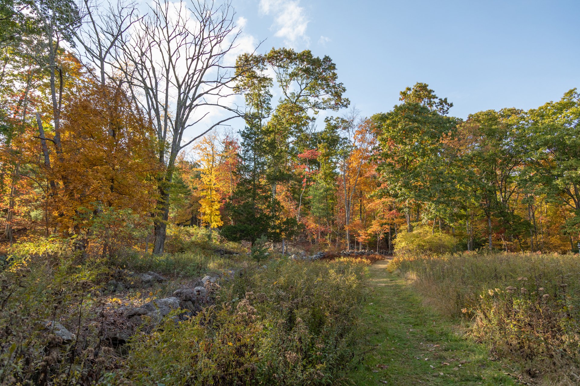 Moose Hill Community Farm