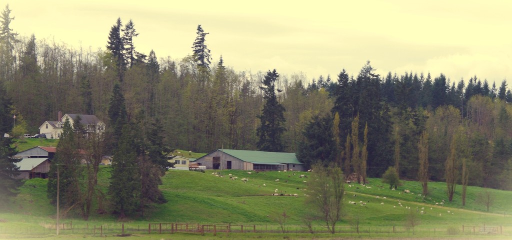 Mt. Capra