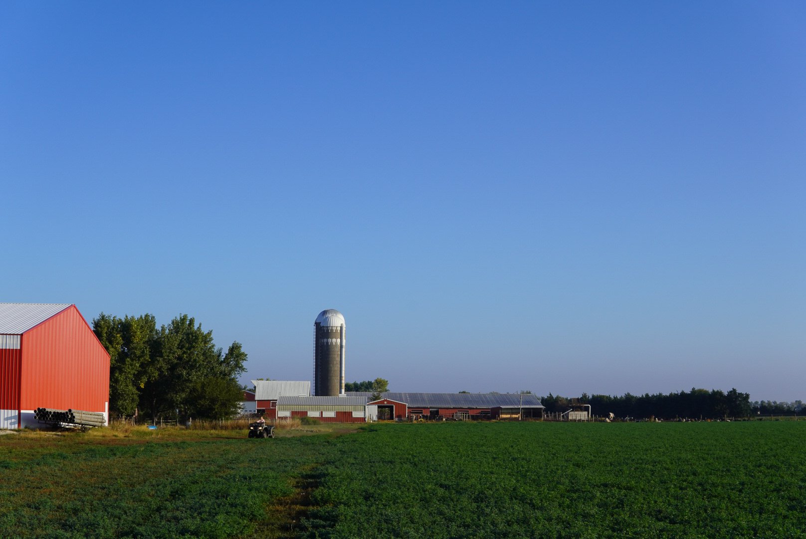 Murman Dairy
