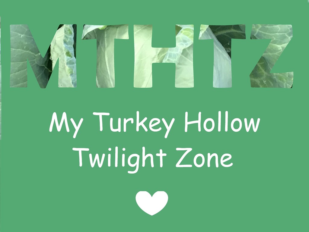 My Turkey Hollow Twilight Zone LLC