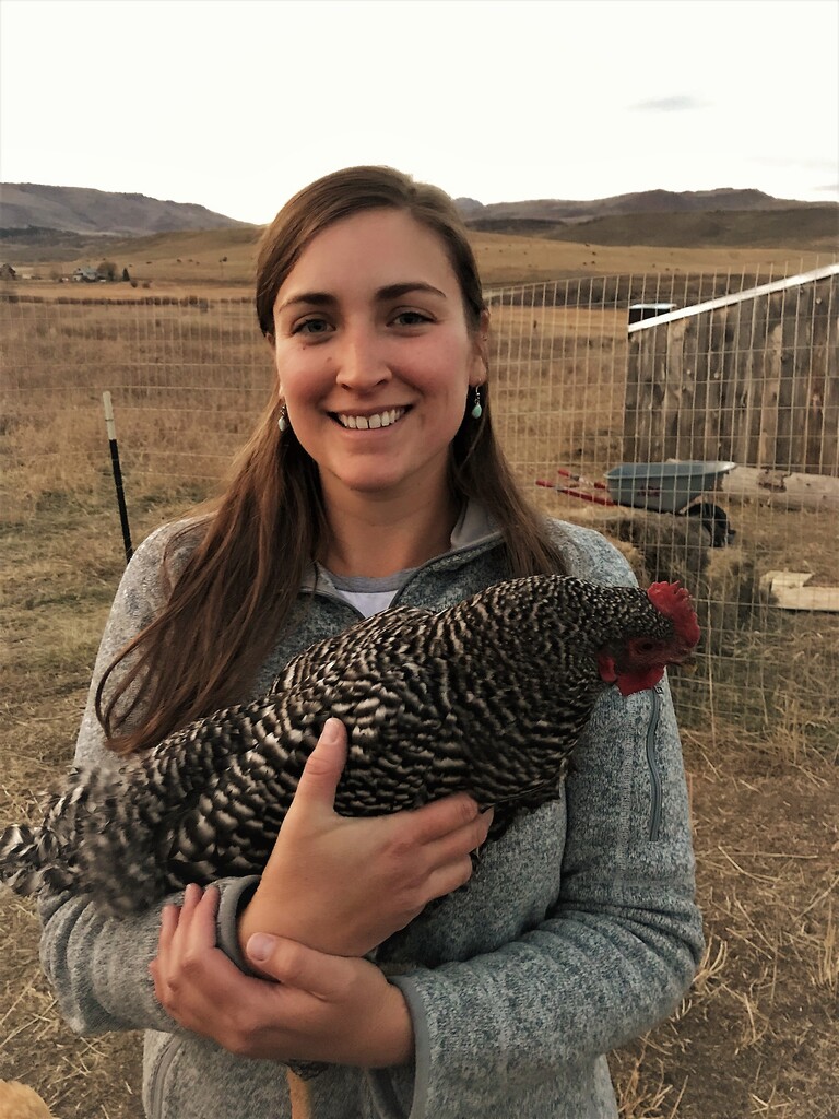 Mystic Hills Farmstead