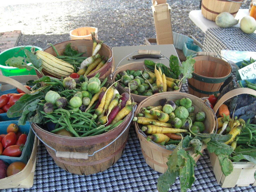 Mystic Springs Farm