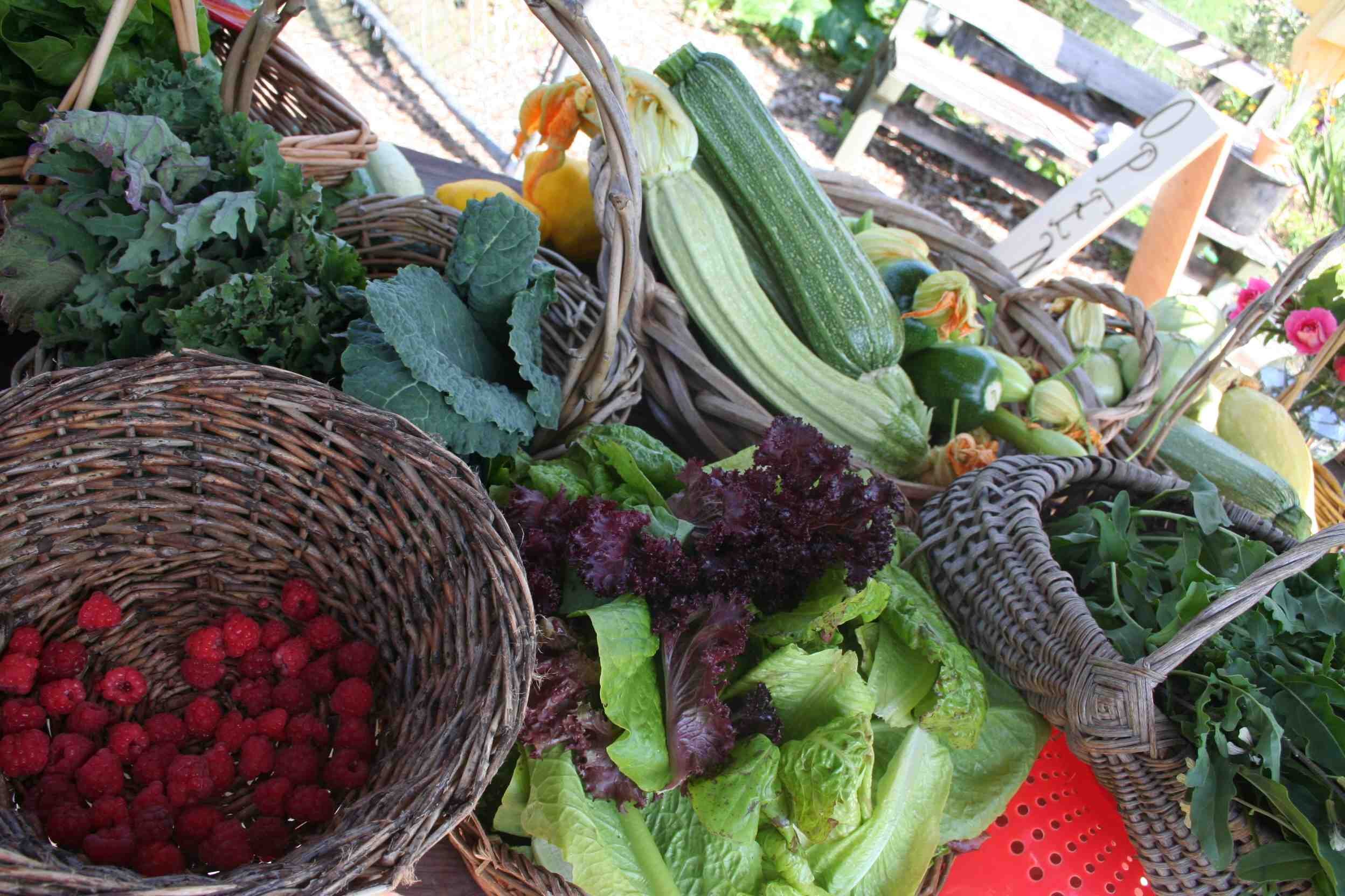 Natural Harvest Farm