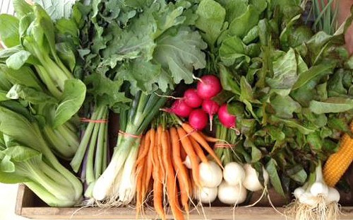 Nelsfarm Produce