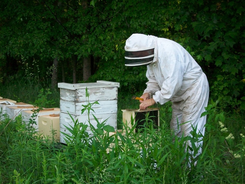 Newcastle Bee and Berry Farm