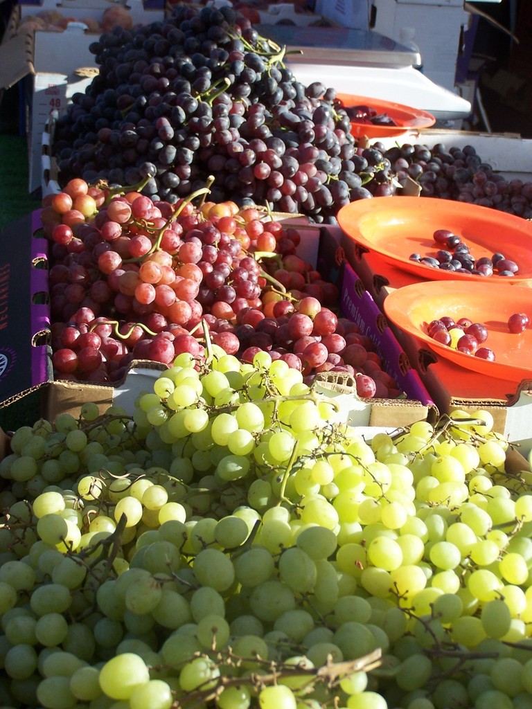 North Park Farmers Market
