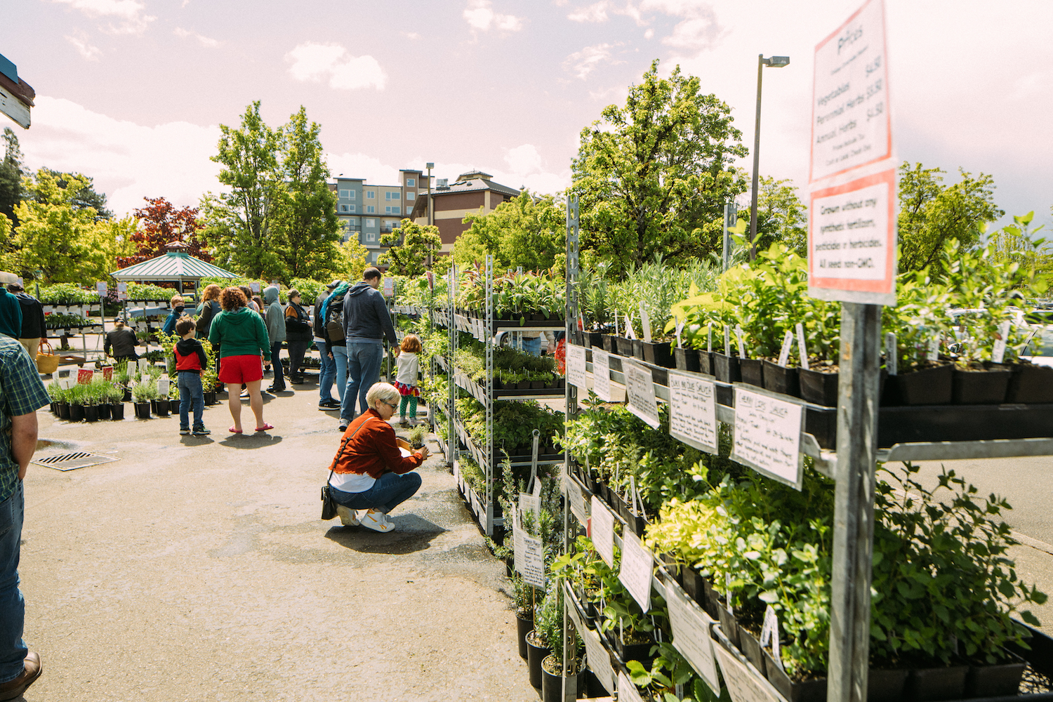 Olympia Farmers' Market