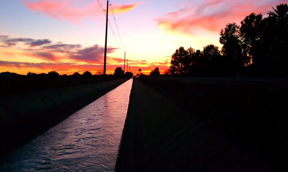 Painted Desert Seed Company