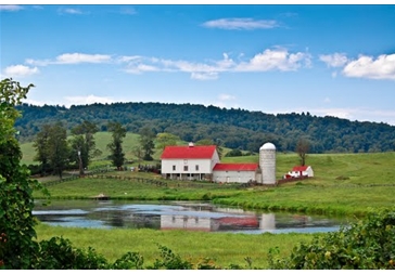 PARIS BARNS at Liberty Farm