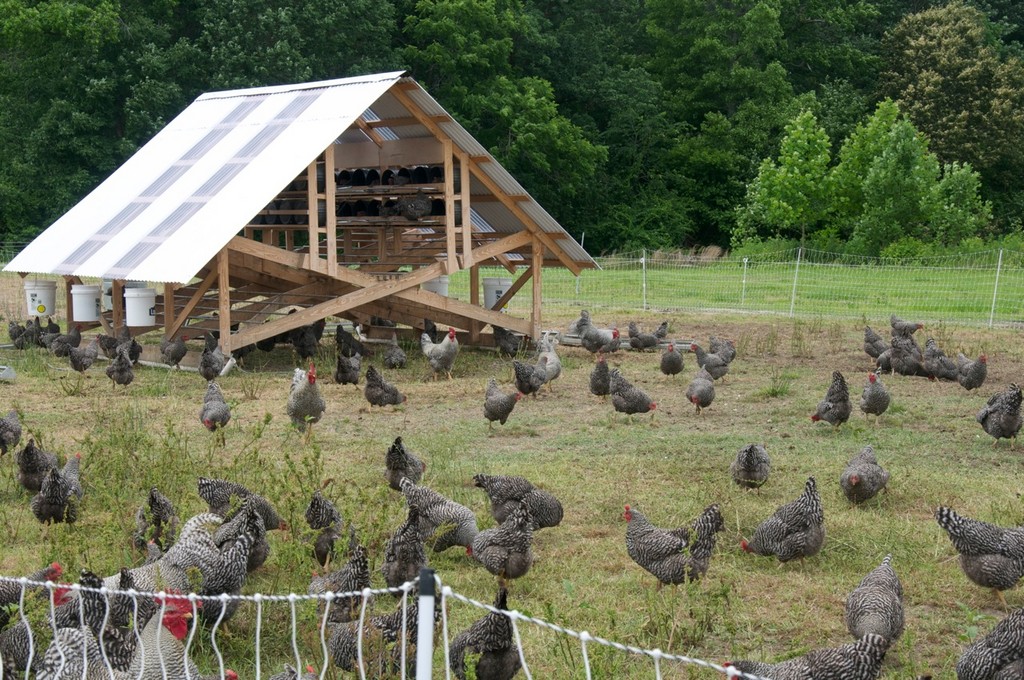 Parker Family Farm