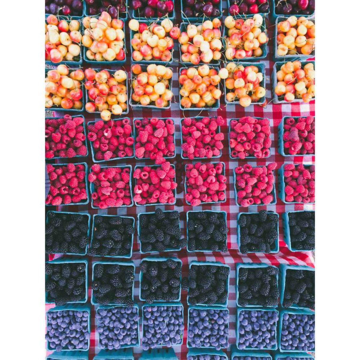 Parsons Farm & Sweet Oregon Berry Farm Co.