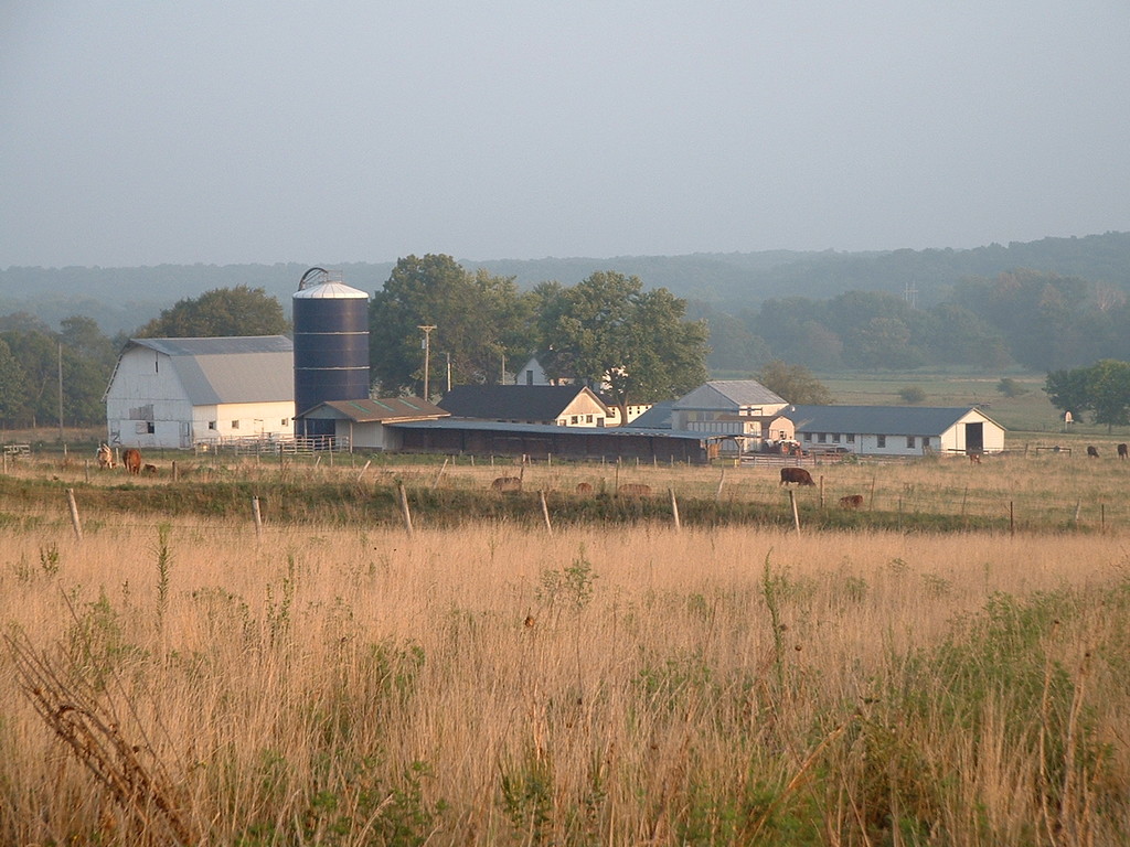 Pasture Nectar Farm