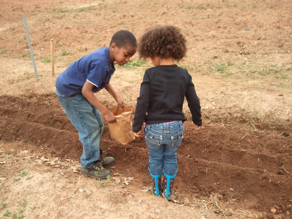 Patchwork City Farms