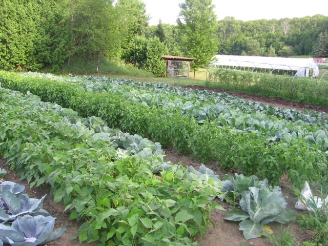 Peaceful Valley Farm