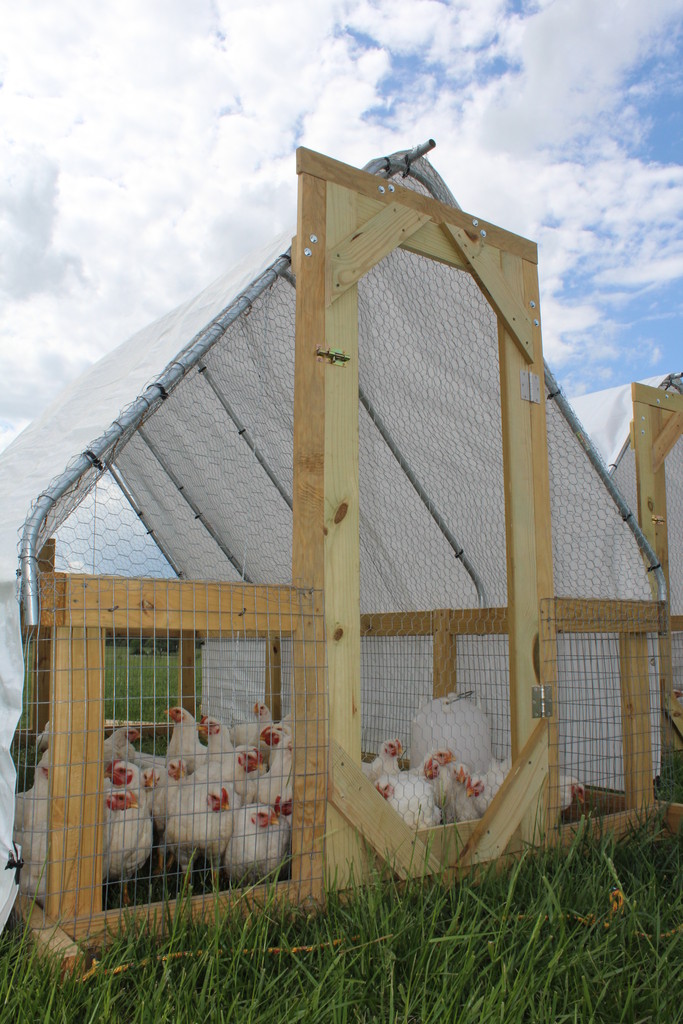 Peak View Farm LLC