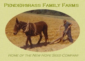 Pendergrass Family Farms / New Hope Seed Co.