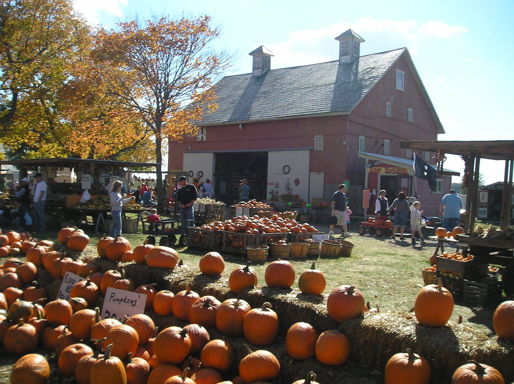 Pigeon Roost Farm