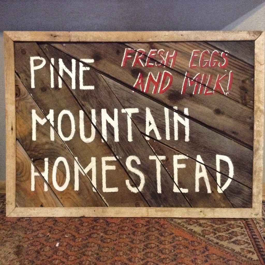 Pine Mountain Homestead