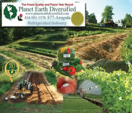 Planet Earth Diversified