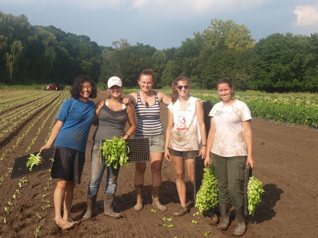 Pleasant Valley Gardens