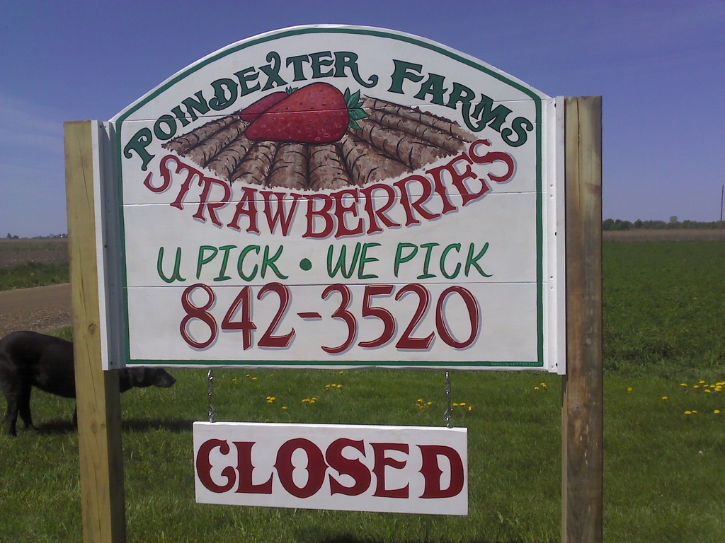 Poindexter Farms Strawberries