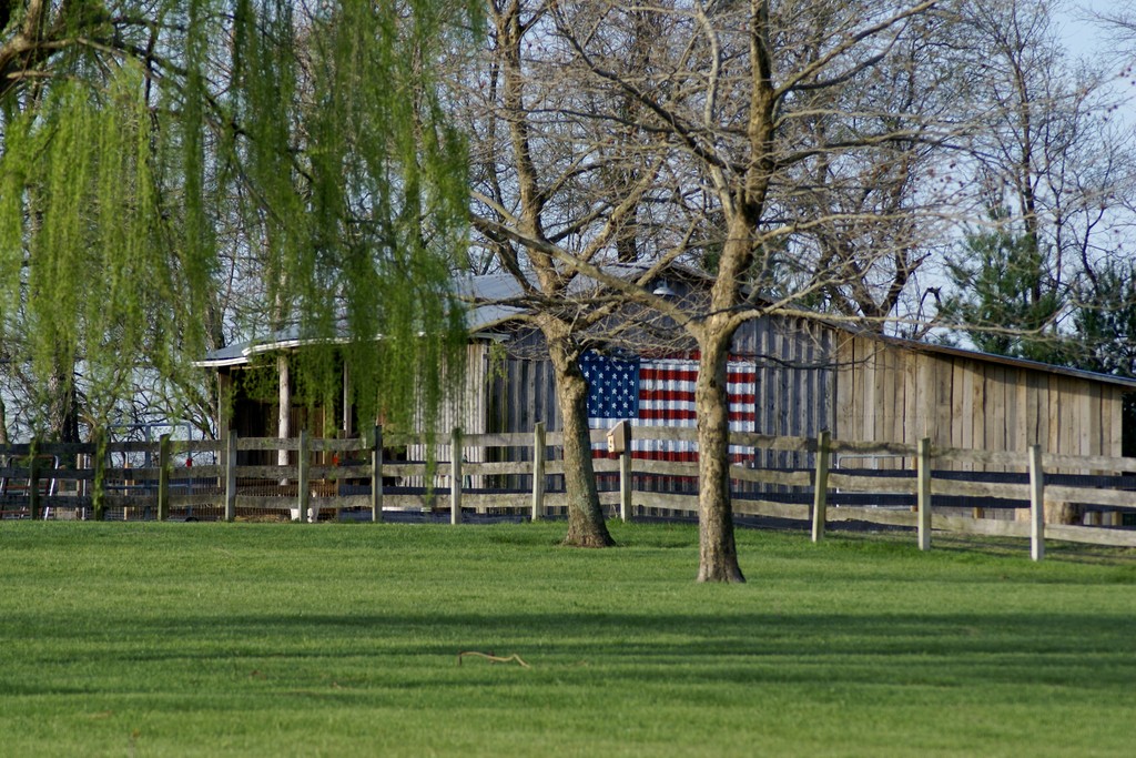 Pop's Old Place