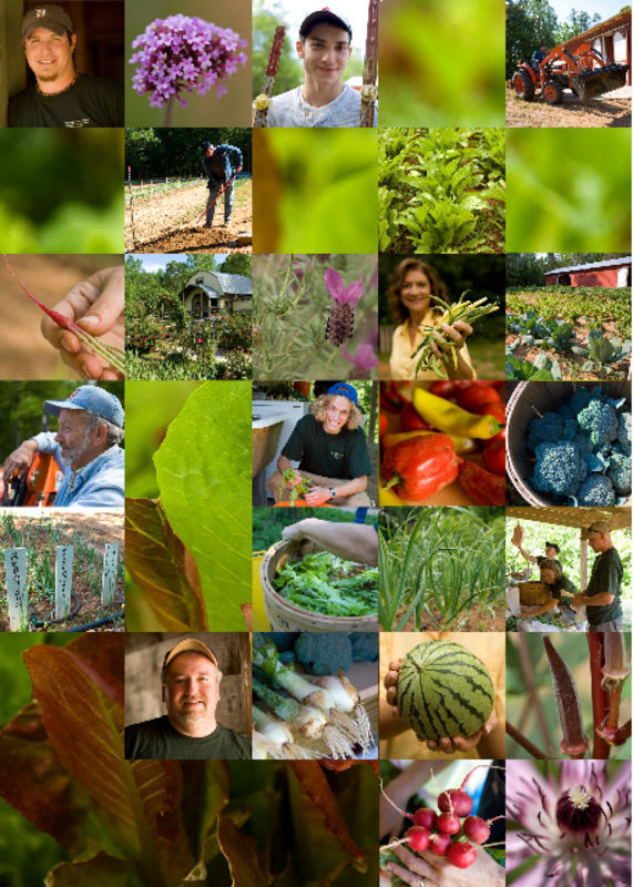 Poplar Ridge Farm