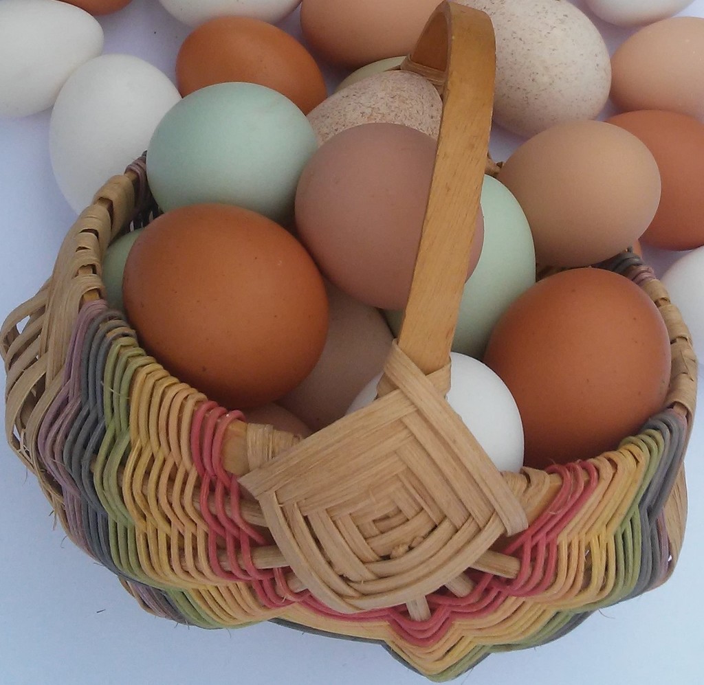 Rainbow Basket Egg Farm