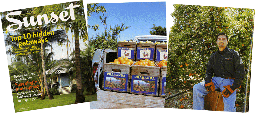 Rancho Charanda Citrus Ranch