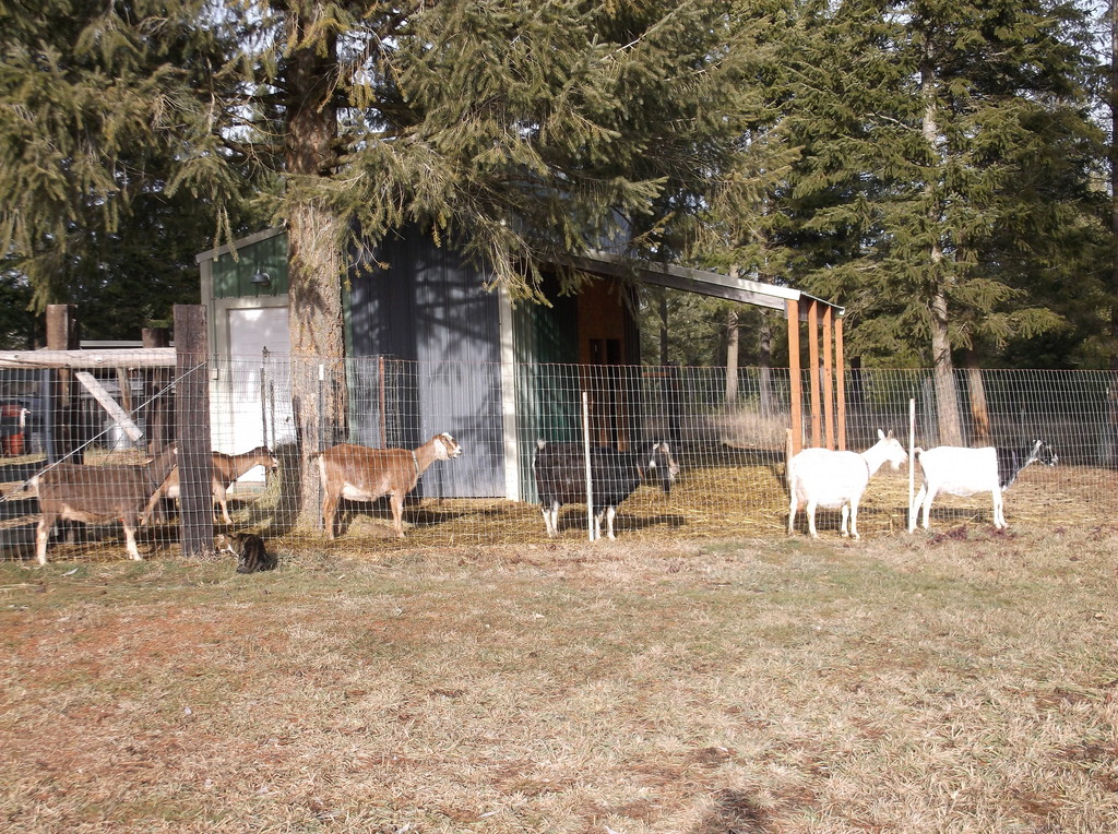 Red Roof Farmstead