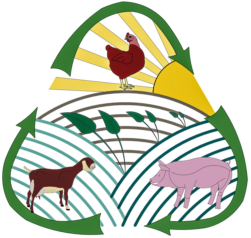 Redemption Hill Farms