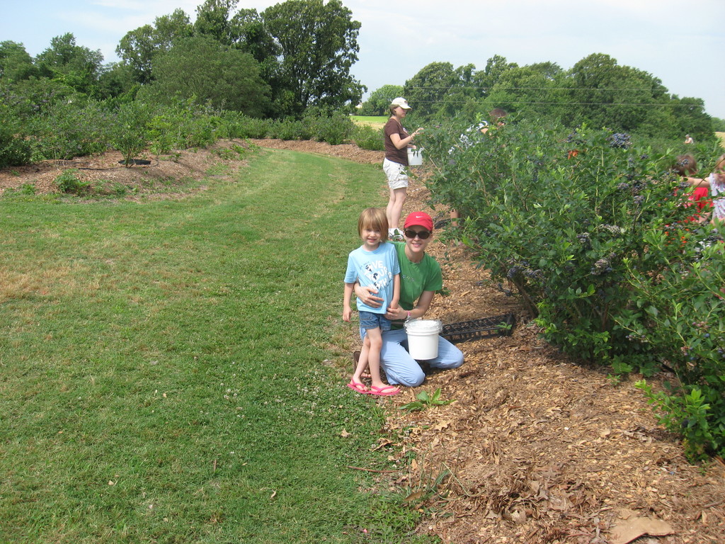 Renee's Berry Garden
