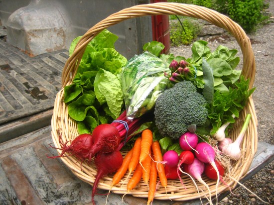 Rising Harvest Farms