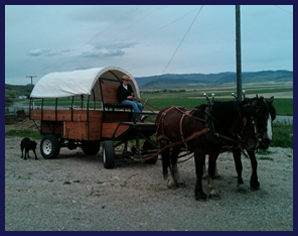 Rocky A Ranch