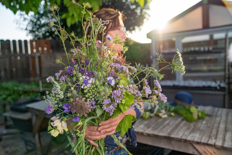 Rolling Hills Herbs & Annuals